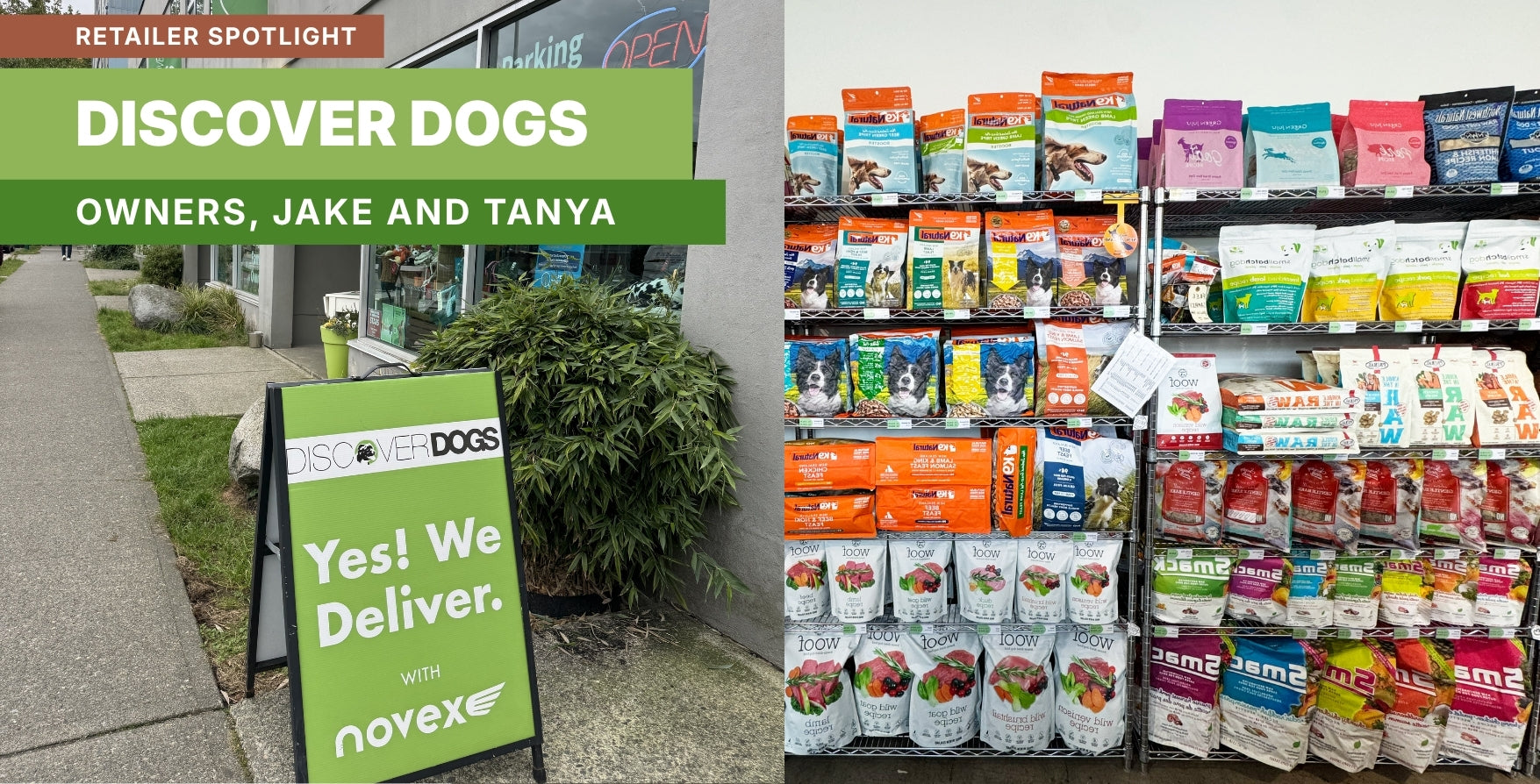 Local Business Spotlight: Discover Dogs