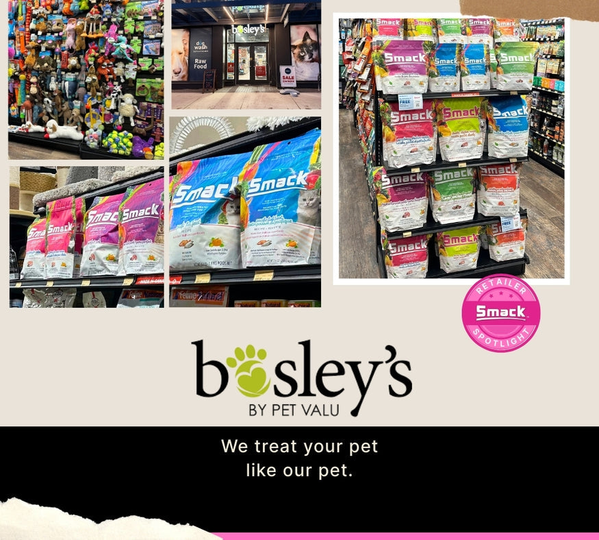 Local Business Spotlight: Bosley’s — The Comma