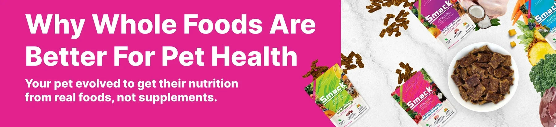 Why Whole Foods Are Better For Pet Health