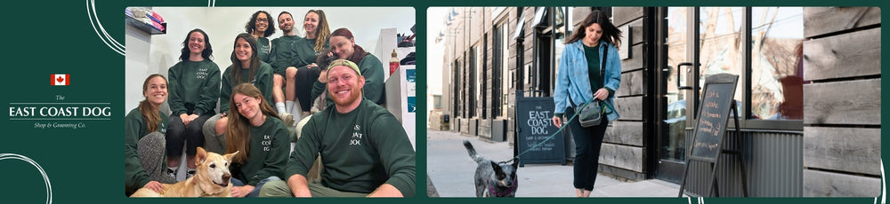 East Coast Dog Retailer Spotlight