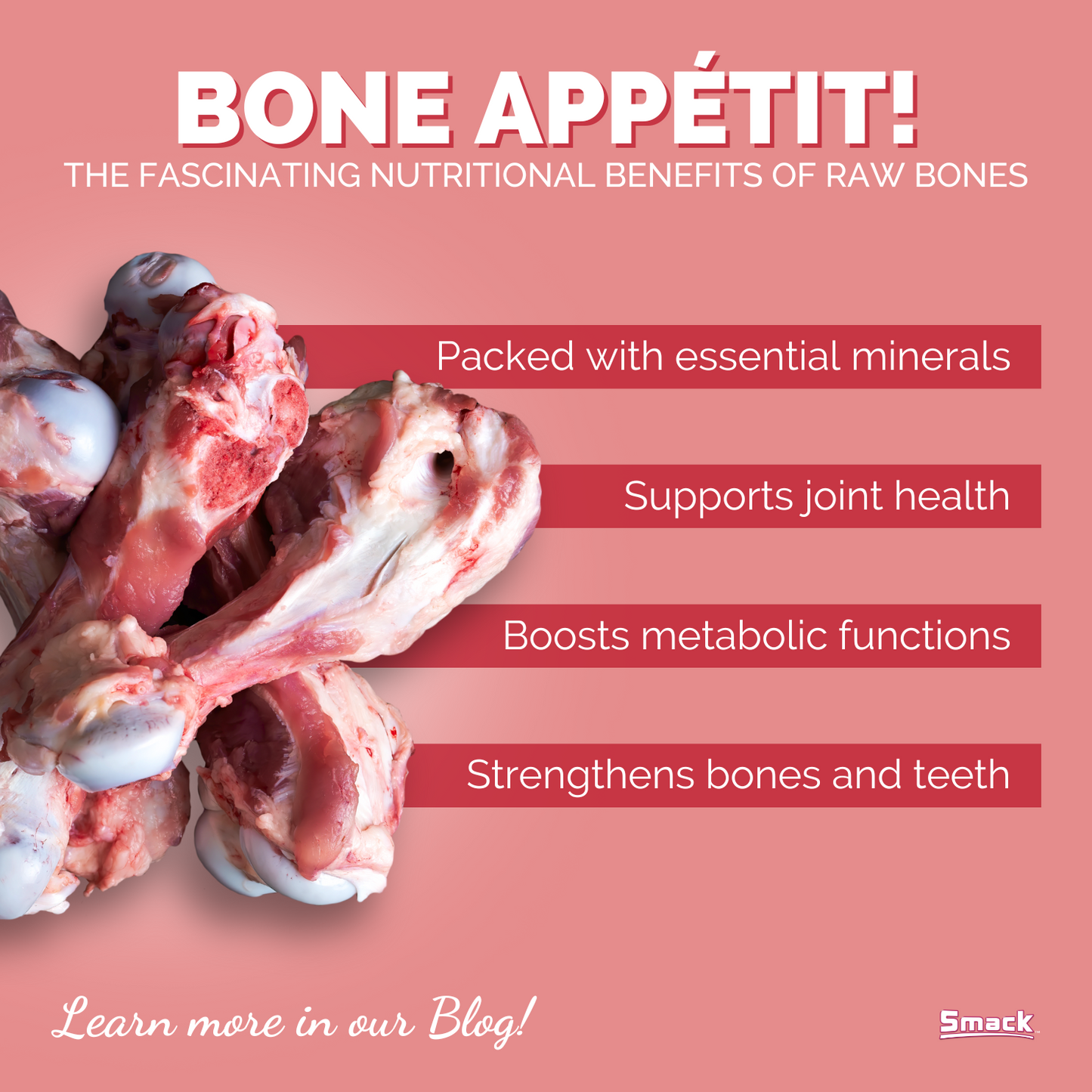 Benefits of Bone