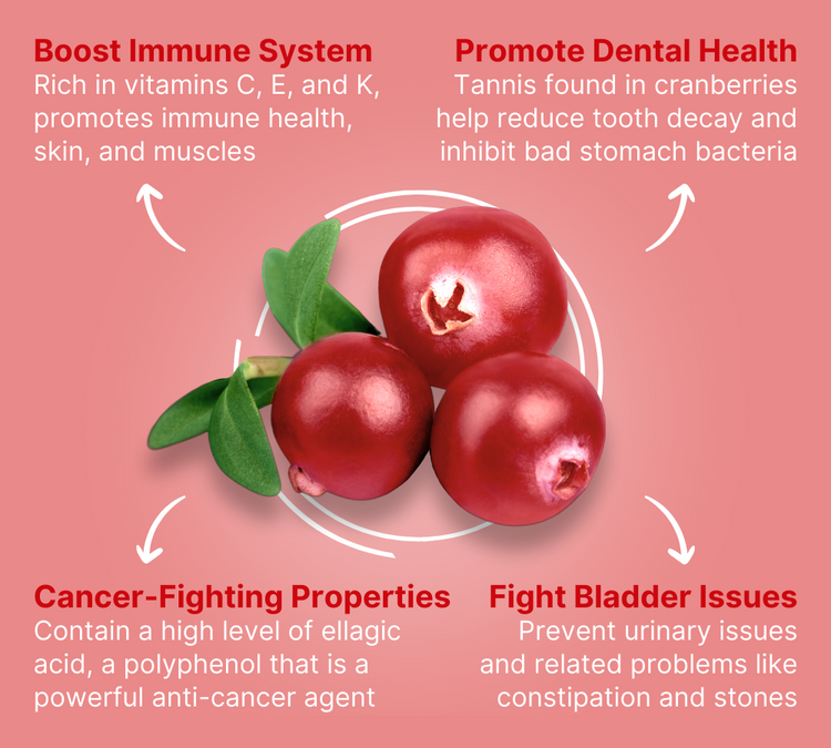 The Benefits of Cranberry