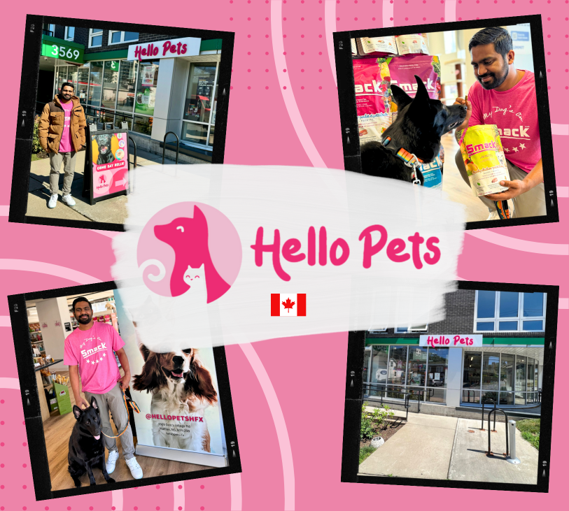 Retailer Spotlight - Hello Pets