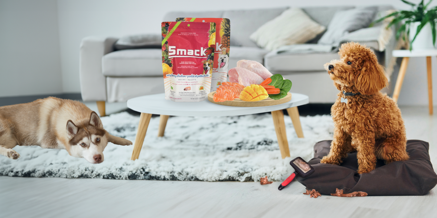 How nutrition affects your pet’s shedding and coat health