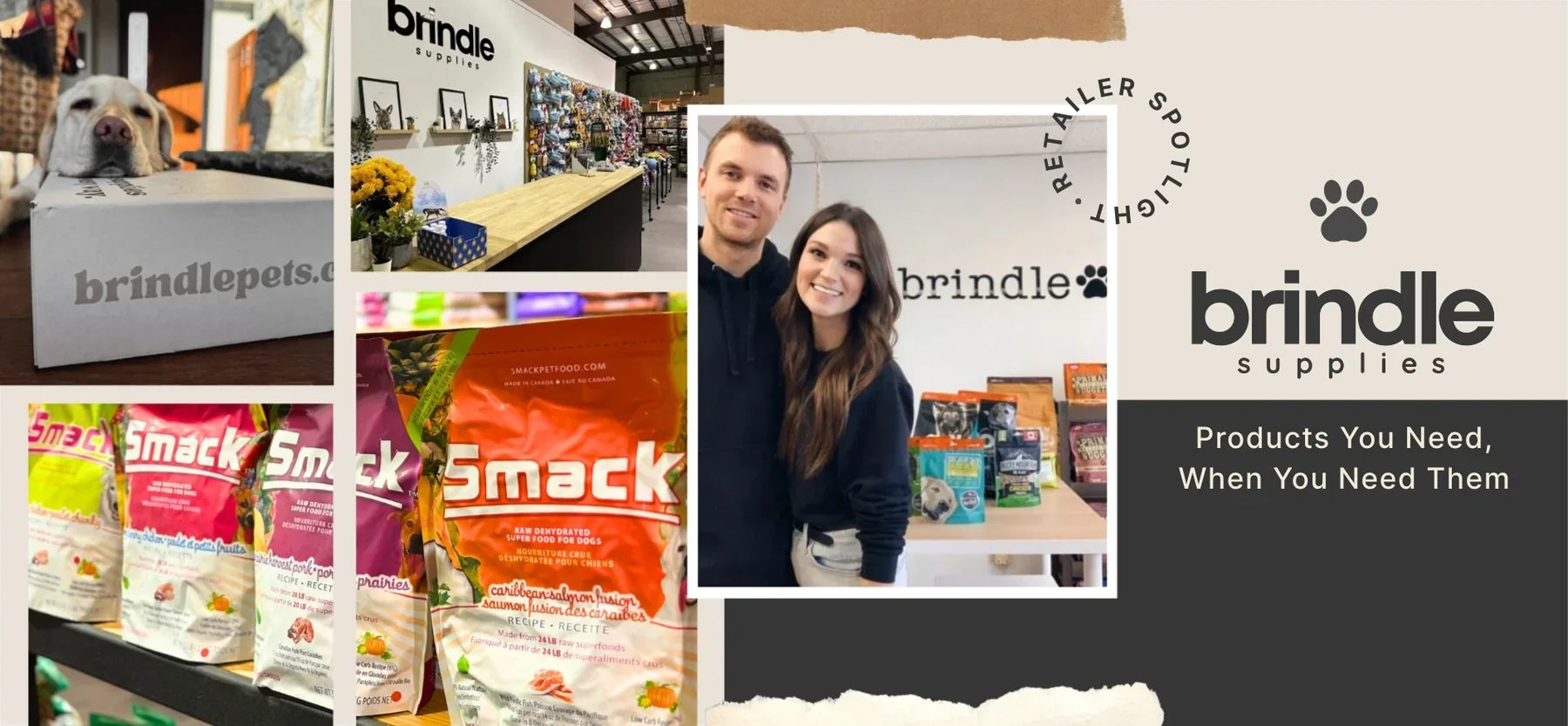Local Business Spotlight: Brindle Pet Supplies