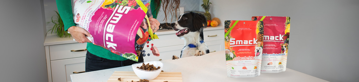 How to Appeal to Picky Pets the Natural Way