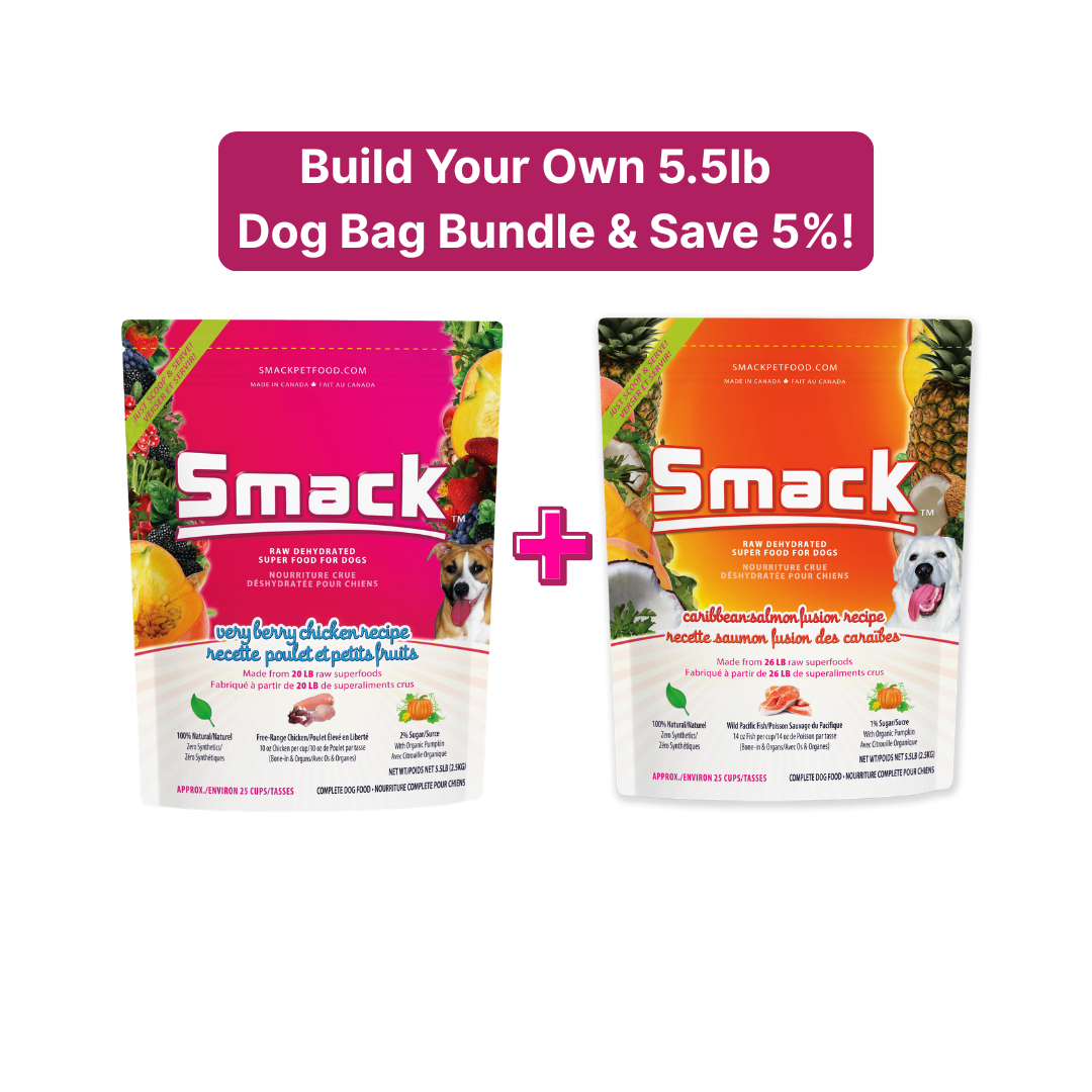 Build Your Own Dog Bundle 5.5lb Main image
