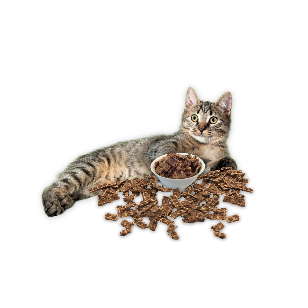 
                  
                    3x Very Berry for Cats 8.8oz + FREE Very Berry for Cats 8.8oz (Cat)
                  
                