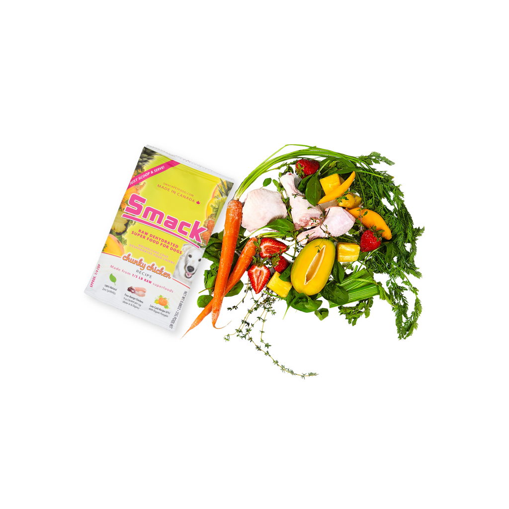 Sample Variety Pack for Dogs | W1 | FREE - PROMO