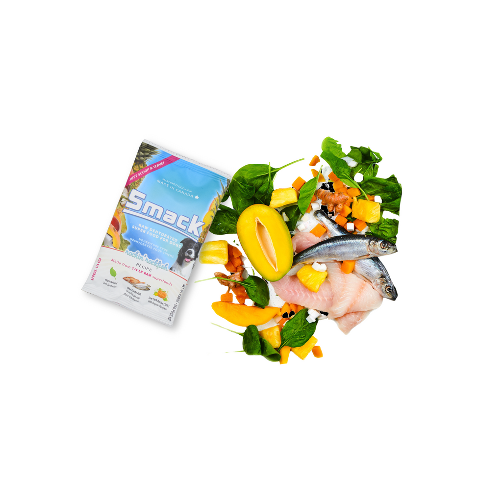 Sample Variety Pack for Dogs | W1 | FREE - PROMO