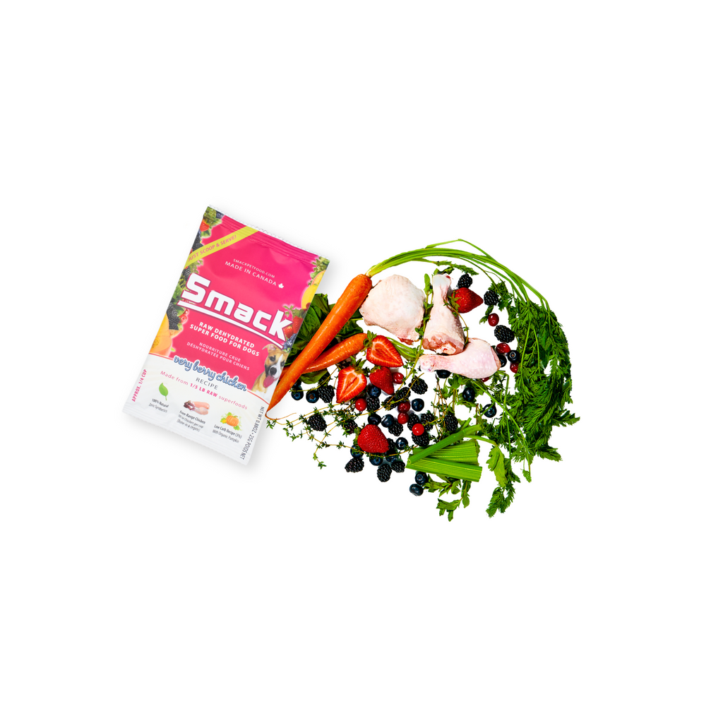 Sample Variety Pack for Dogs | W1 | FREE - PROMO