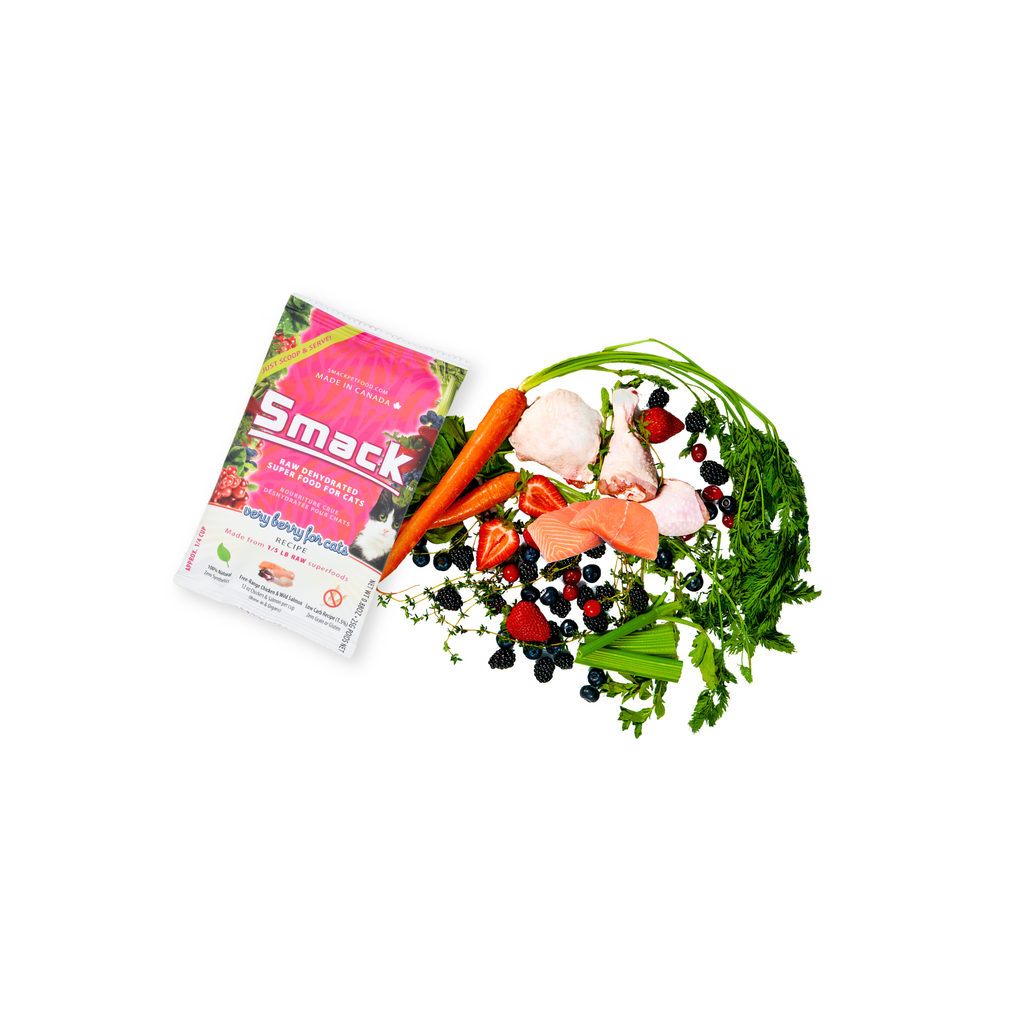 Sample Variety Pack for Cats | W1 | FREE - PROMO