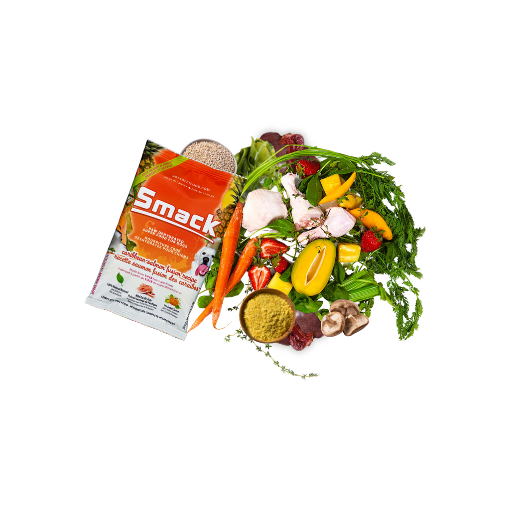 Smack pet food package with a variety of fresh ingredients on a white background