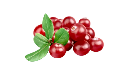 Organic Cranberry