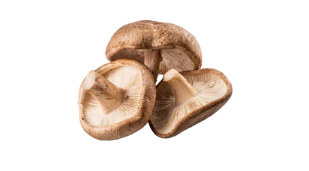 Organic Shiitake Mushroom