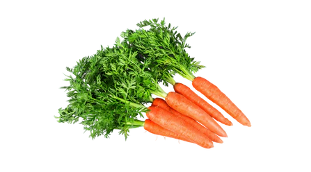 Carrots on a white background