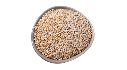 Organic Sprouted Quinoa