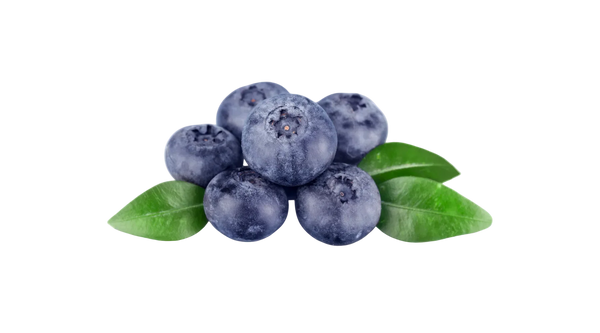 Blue Berries on a white background