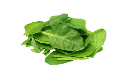 Organic Spinach
