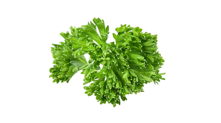 Organic Parsley