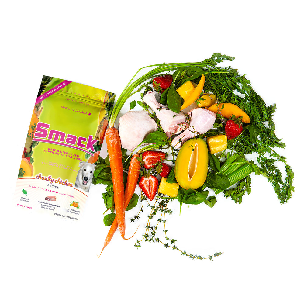 
                  
                    Sample Variety Pack for Dogs
                  
                