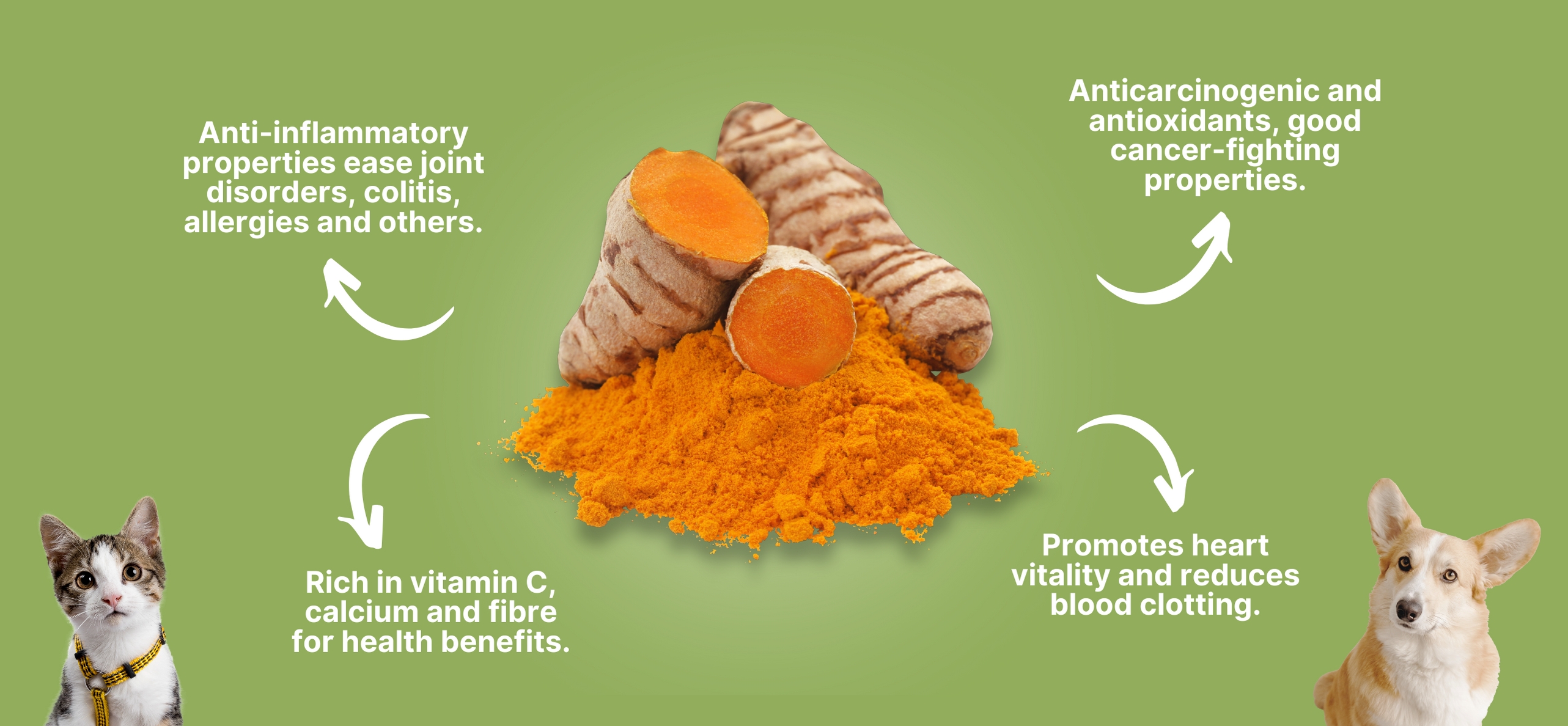 Is Turmeric Good For Dogs? ~ The Amazing Benefits Of Turmeric – Smack ...