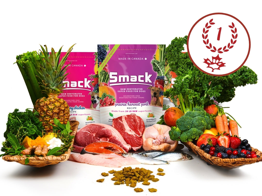 Media - News & Stories – Smack Pet Food Inc.